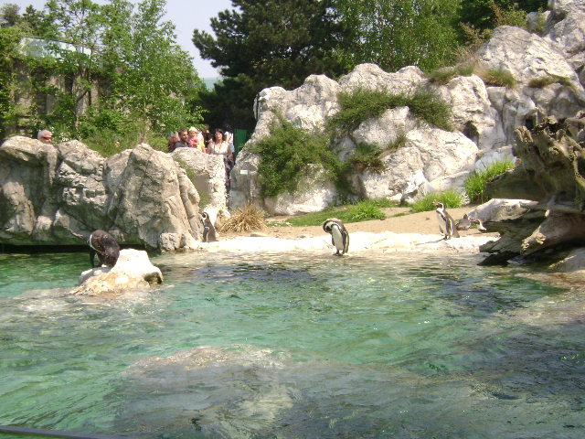 DSC00006
