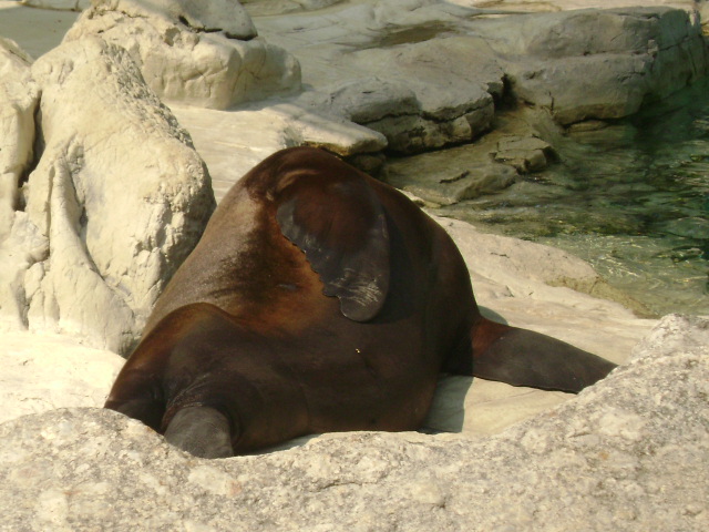 DSC00009
