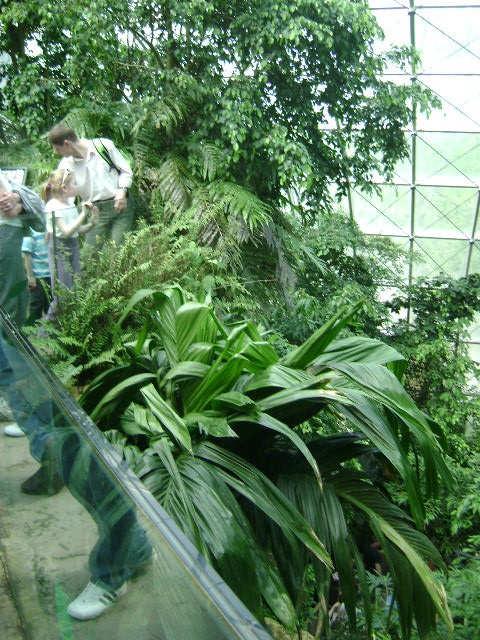 DSC00016