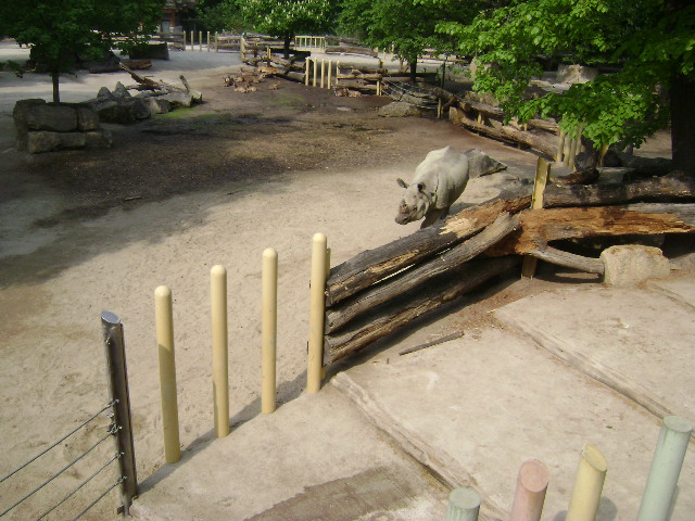 DSC00025