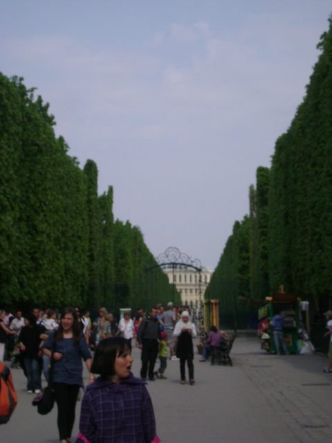 DSC00030