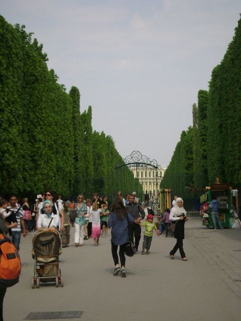DSC00031