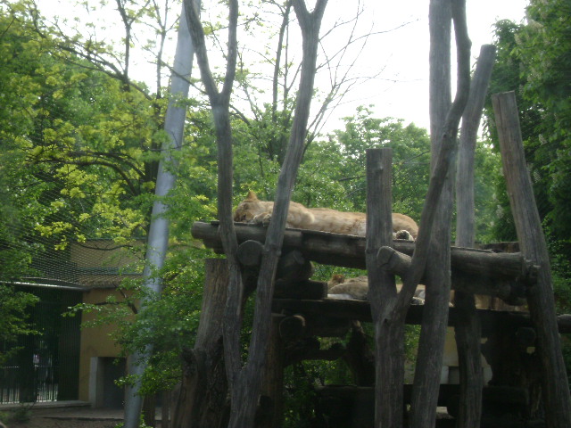 DSC00037