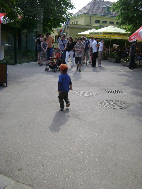 DSC00041