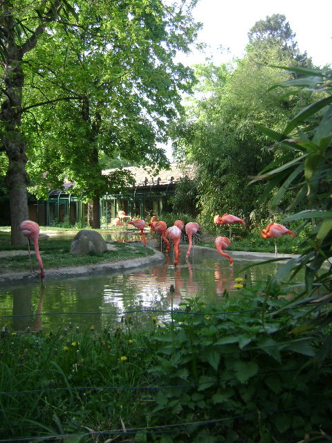 DSC00075