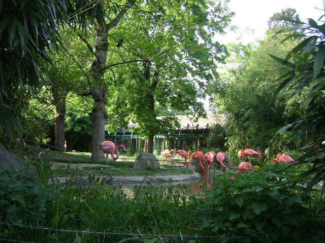 DSC00078