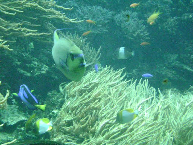 DSC00089
