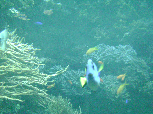 DSC00092