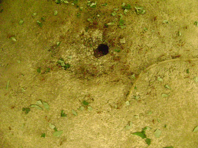 DSC00095