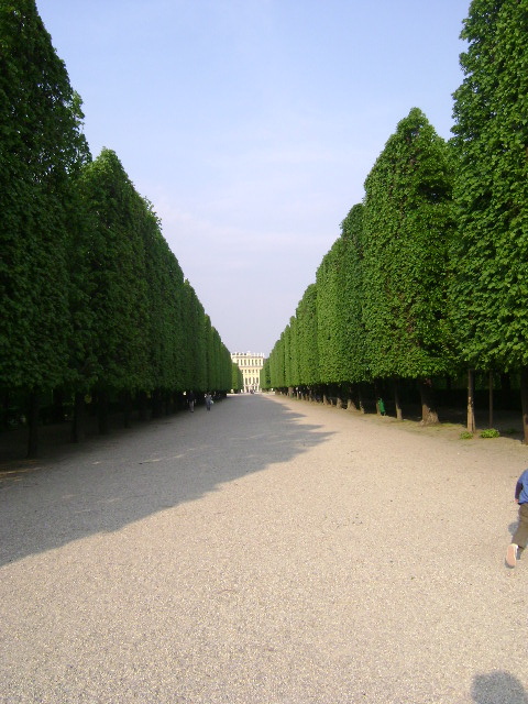 DSC00115